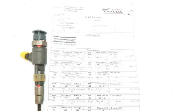 Peugeot Partner Fuel injector 0445110566