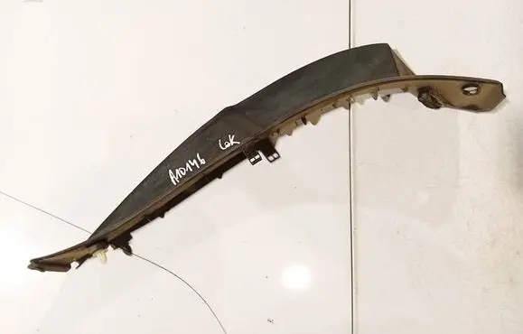Rear/tail light trim molding