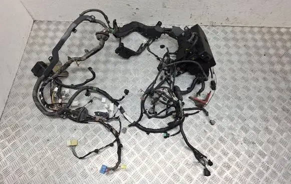 Toyota Verso Other wiring loom 821110F630 7233R0A1