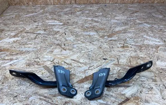 Ford Kuga II Engine bonnet/hood hinges BM51A16801AD BM51A16800AD