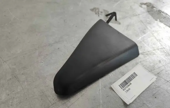 Renault Zoe Other rear door trim element 822741064R