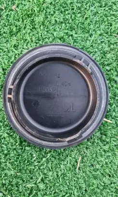 Renault Megane III Headlight/headlamp dust cover 1305219129
