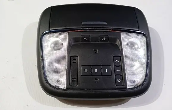 Dodge Charger Headlining roof glove box 1RC67DX9AG