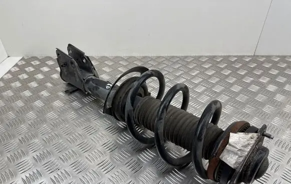 Chrysler Pacifica Front shock absorber with coil spring P68294077AF 07318132523 824904013543