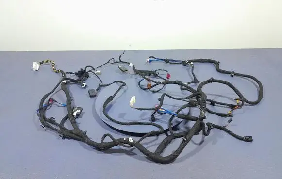 BMW M5 Other wiring loom 6991456