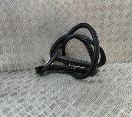 BMW 5 G30 G31 G38 Rubber seal rear door 670032889