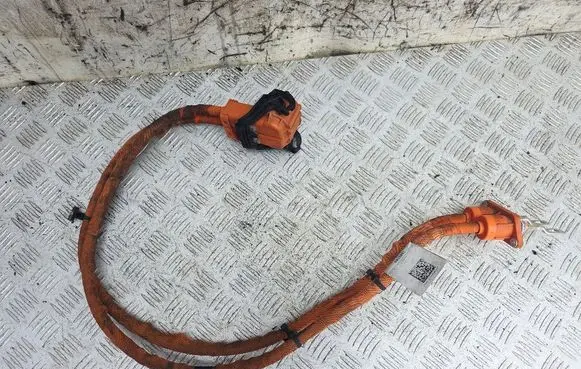Volkswagen e-Golf Other wiring loom 5QE971015