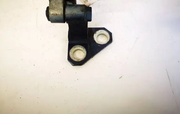 Volkswagen PASSAT B6 Rear door lower hinge 3C4833401D