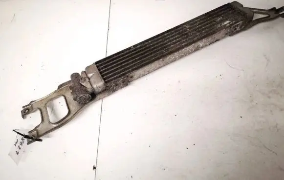 Mercedes-Benz B W245 Engine oil radiator a1695000200