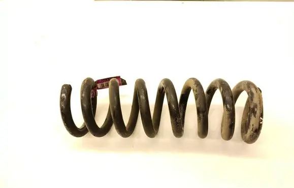 Rear coil spring