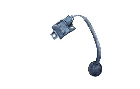 Hyundai ix 55 Tire pressure sensor 958104D100