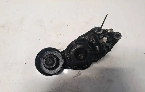 Volkswagen Polo IV 9N3 Generator/alternator belt tensioner 