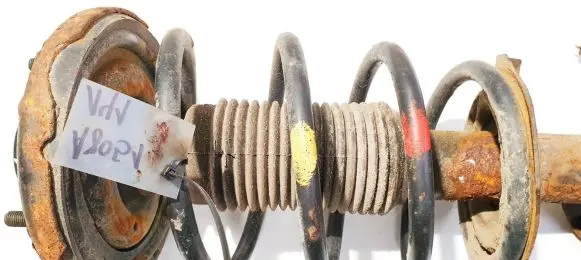 Nissan Primera Front coil spring