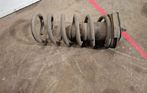 Rear coil spring