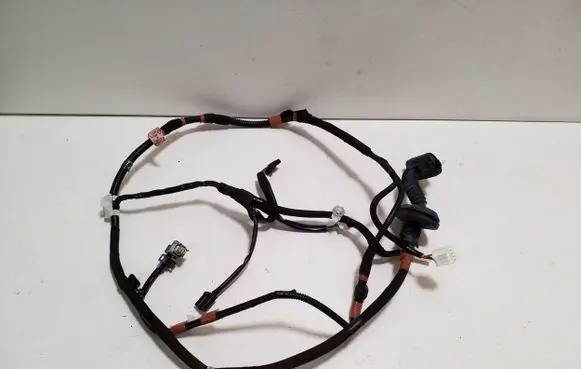 Rear door wiring loom
