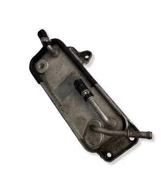 Mercedes-Benz C W203 Engine oil radiator 23413