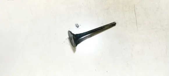 Volkswagen Tiguan Valve 