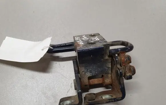 Volkswagen Golf V Rear door lower hinge