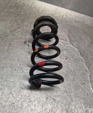 Rear coil spring
