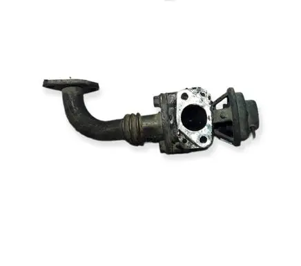 Mitsubishi Pajero EGR valve