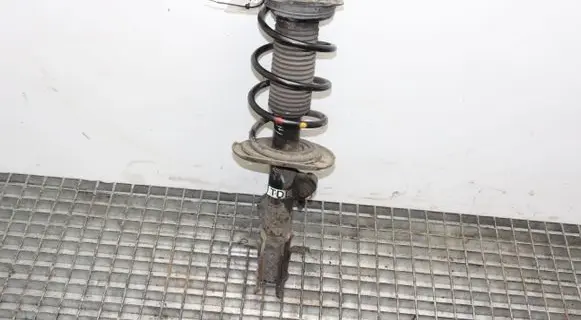Nissan Juke I F15 Front shock absorber/damper