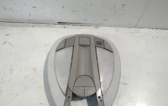 Mercedes-Benz CLS C219 Front seat light A2198200901