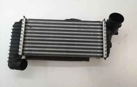 Ford C-MAX II Intercooler radiator BV619L440CJ