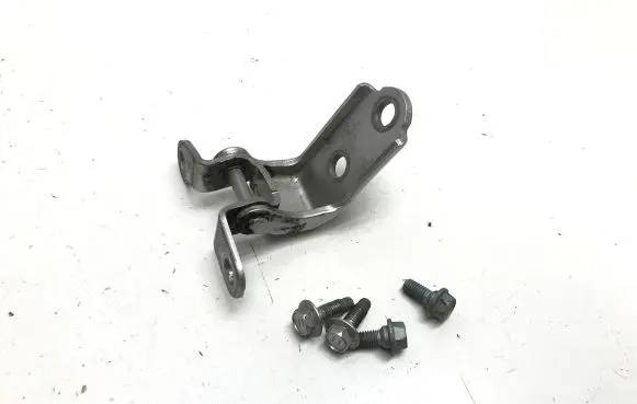 Rear door lower hinge