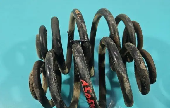 Rear coil spring