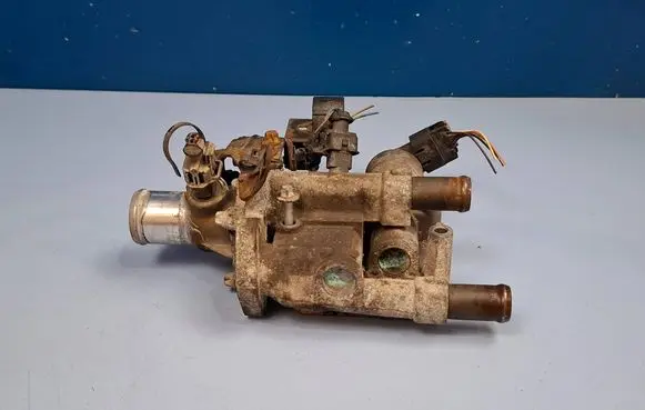 Thermostat/thermostat housing