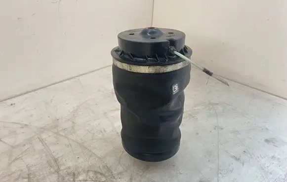Mercedes-Benz GLS X166 Rear air suspension bag/shock absorber 