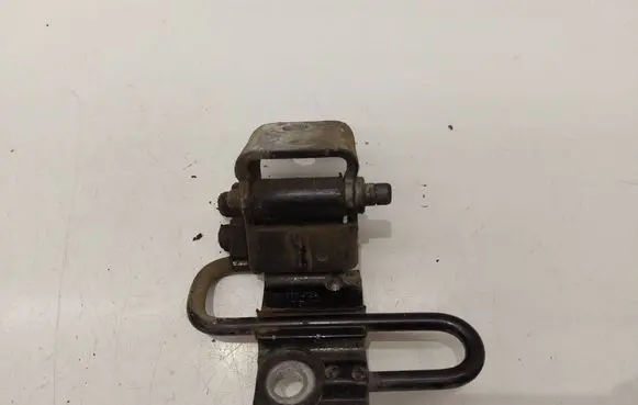 Volkswagen PASSAT B6 Rear door lower hinge 3C9833412A
