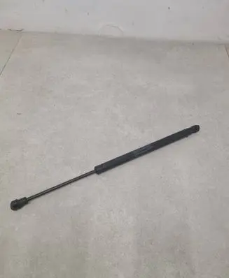 Tailgate/trunk strut/damper