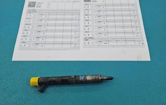 Renault Kangoo I Fuel injector EJBR02101Z IMPRK1535833