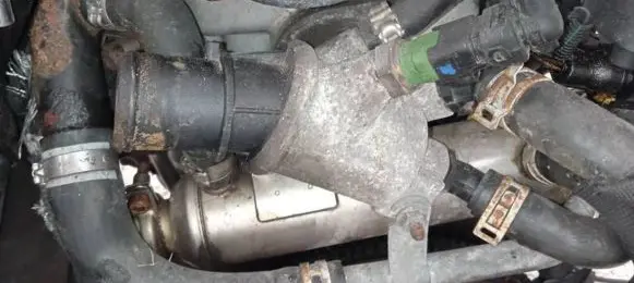 Opel Zafira B Engine coolant pipe/hose