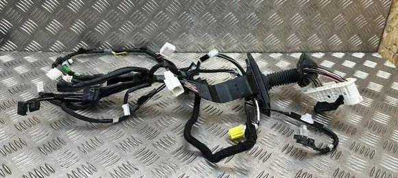 Lexus ES VII XZ10 Front door wiring loom 19I033849