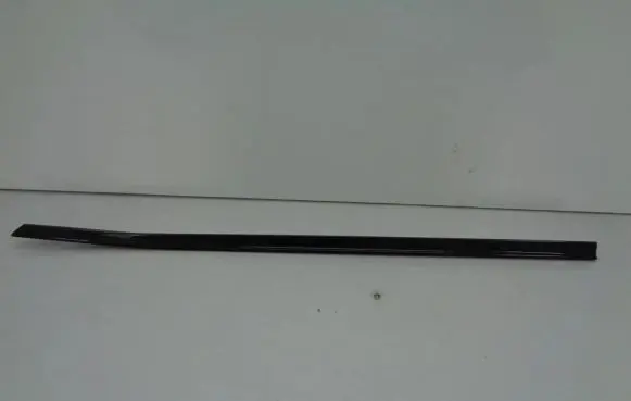 Nissan Juke I F15 Front door trim (molding) 10144138