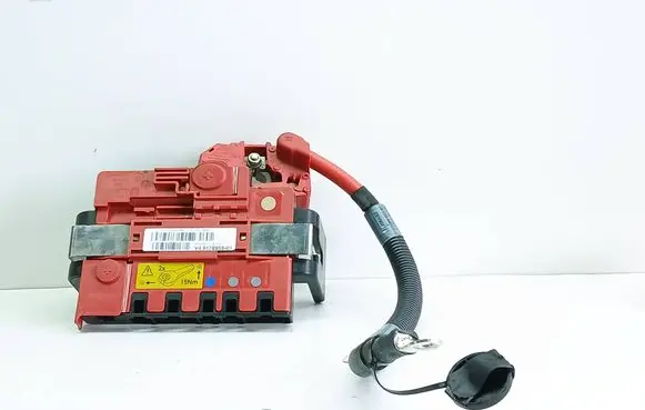 BMW X5 E70 Positive wiring loom 9178959