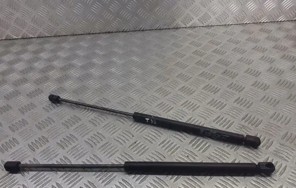 Skoda Octavia Mk1 (1U) Tailgate hydraulic set 