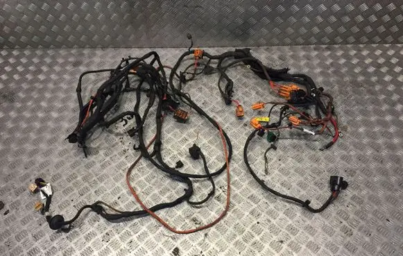 Cupra Born Positive wiring loom 
