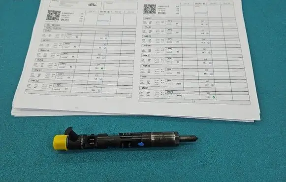 Renault Clio II Fuel injector EJBR02101Z IMPRK1597539