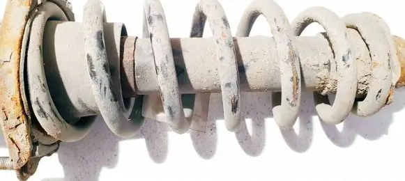 Rear coil spring