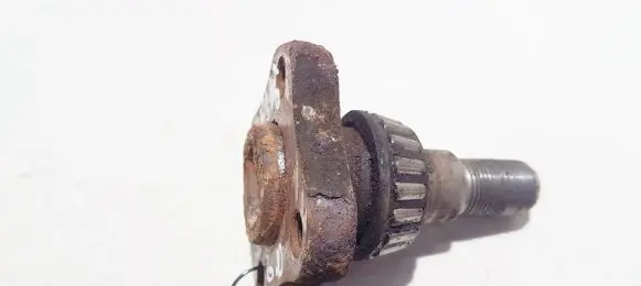 Renault Clio II Stub axle 
