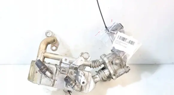 EGR valve
