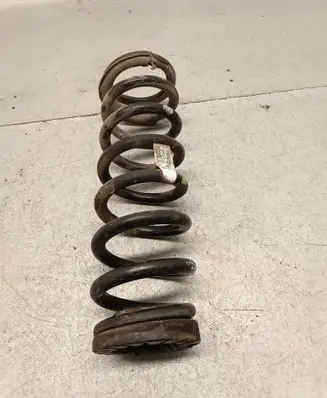 Rear coil spring