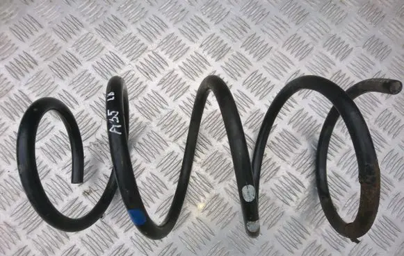 Toyota Avensis T250 Front leaf spring 4813105820