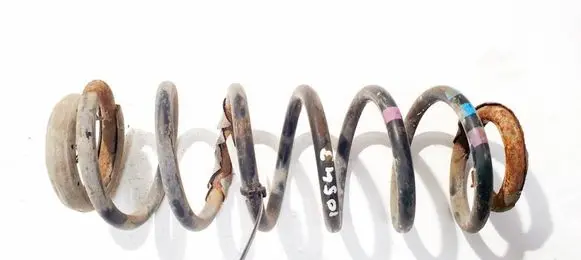 Rear coil spring