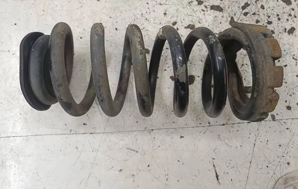 Opel Insignia A Rear coil spring 