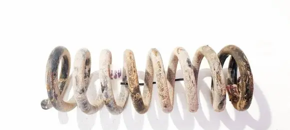 Rear coil spring