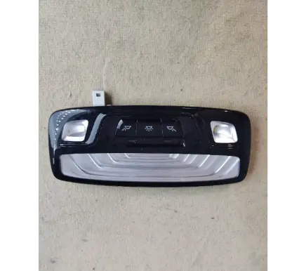 BMW 5 G30 G31 Rear seat light 012097